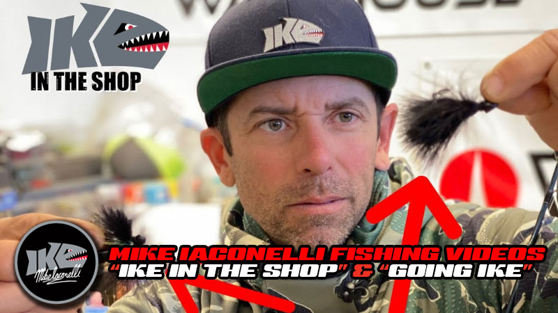 Mike Iaconelli bass fishing videos