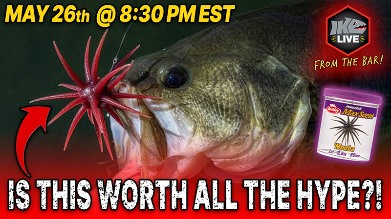Ike Live Berkley 'Moeba Urchin Bait