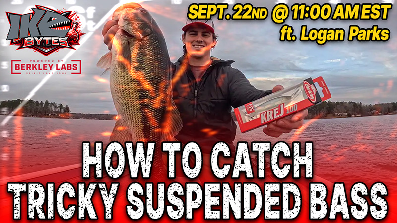 How to Catch Suspended Bass