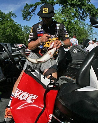 Iaconelli Loads Bass Into the Weigh-In Bag Fishing Photo